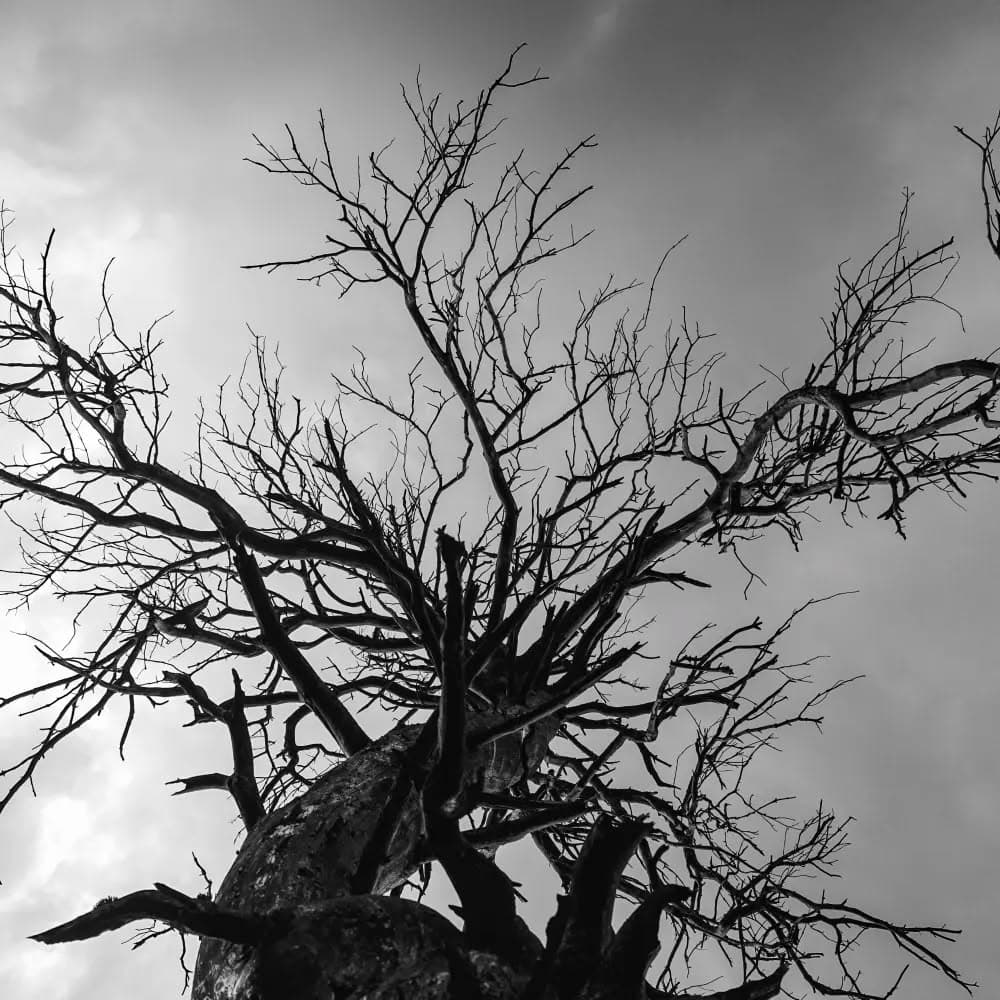 Détail nature connexion